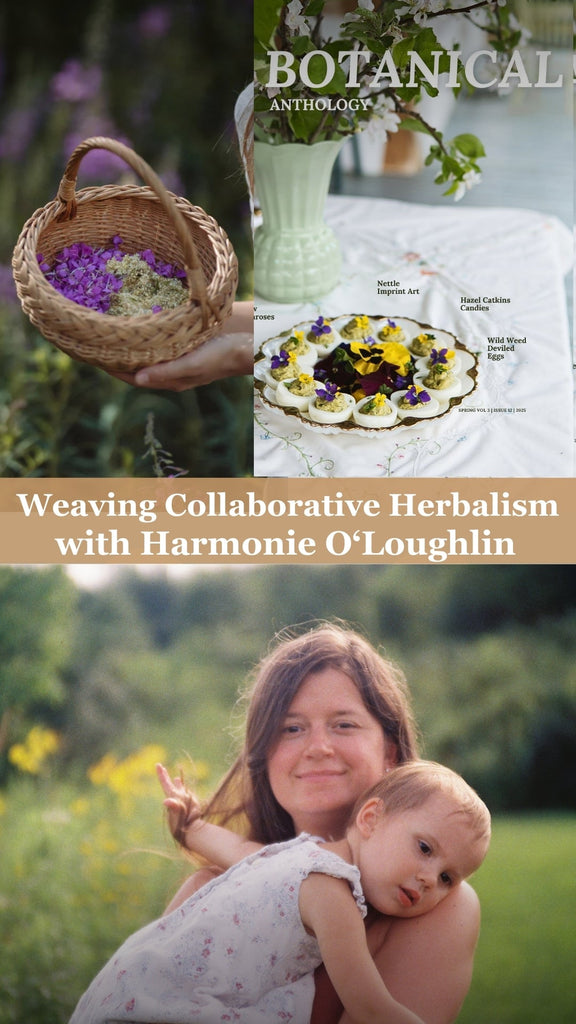 Weaving Collaborative Herbalism:  Building a Seasonal Herbal Magazine with Harmonie O'Loughlin