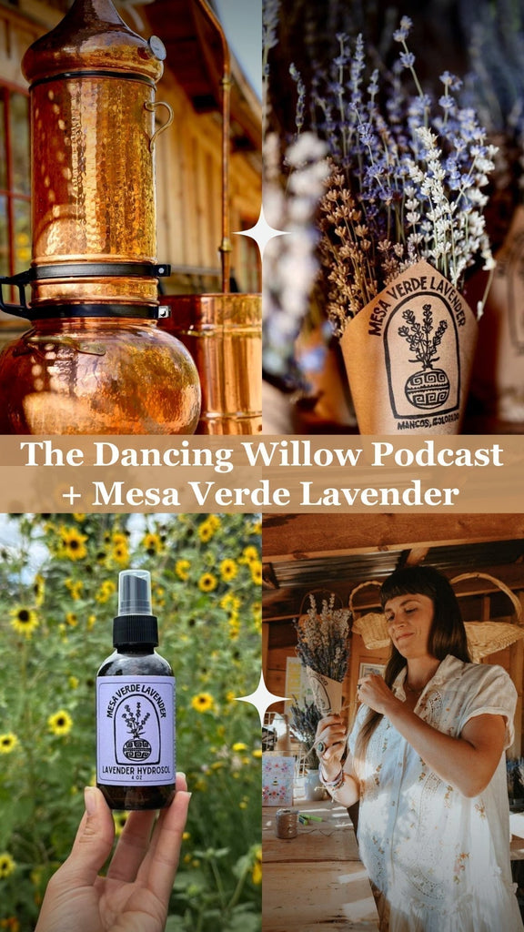 Lavender & Legacy: Crafting Hydrosols, Cultivating Land & Finding Purpose with Mesa Verde Lavender