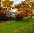Blooming Rooted Herbalism Retreat: Autumn Session, September 19-22nd (Closed)