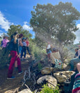 Blooming Rooted Herbalism Retreat: Autumn Session, September 19-22nd (Closed)