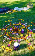 Blooming Rooted Herbalism Retreat: Autumn Session, September 19-22nd (Closed)