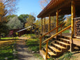 Blooming Rooted Herbalism Retreat: Autumn Session, September 19-22nd (Closed)