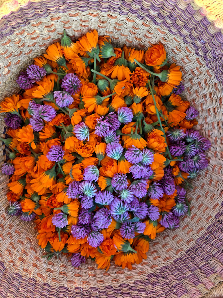 Growing Medicinal Plants: Biodynamics & Living Soil with Crystal Chamberlain