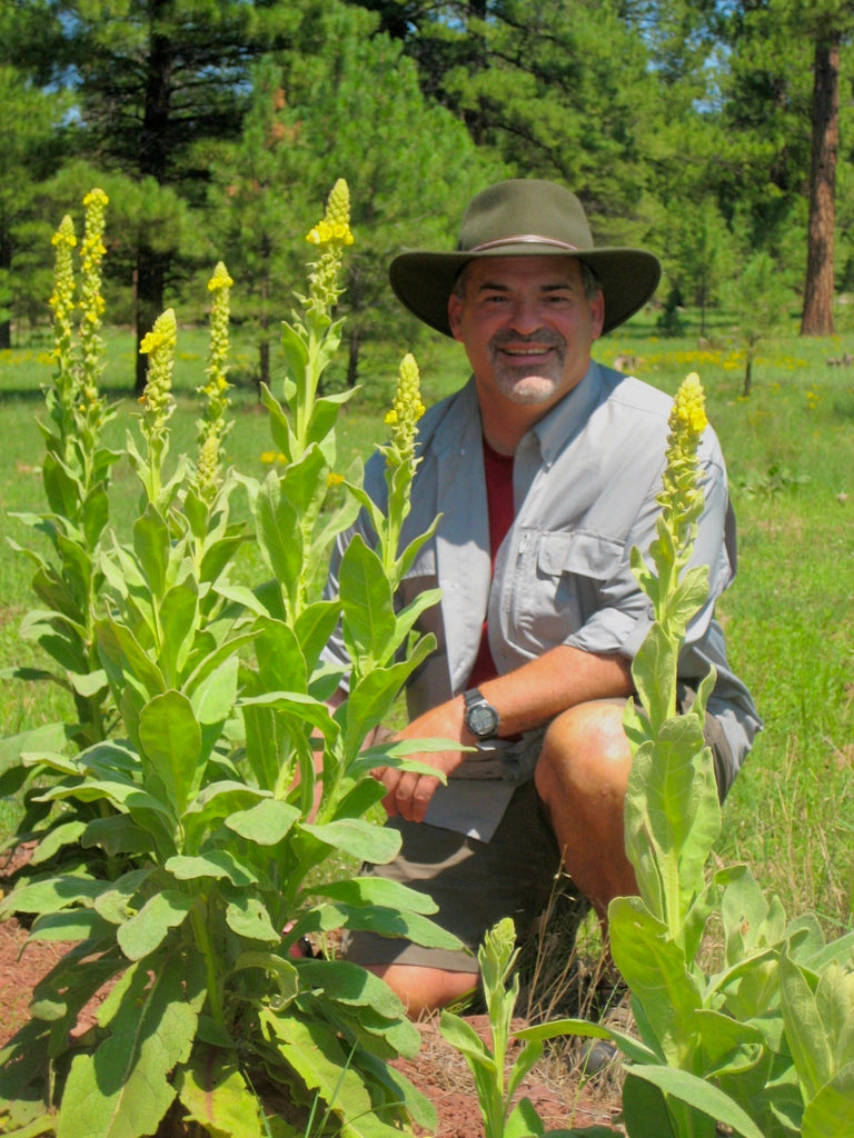 Beyond the Green Pill: Practicing Vitalist Herbalism with Mike Masek