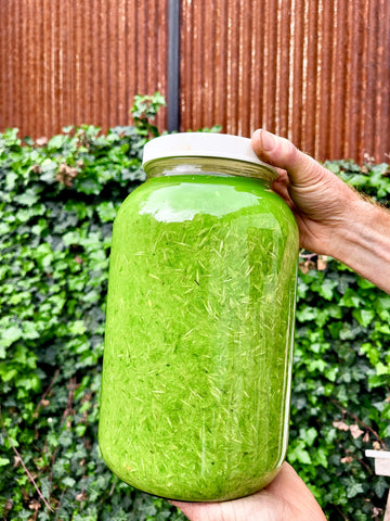 Fresh Plant Tinctures