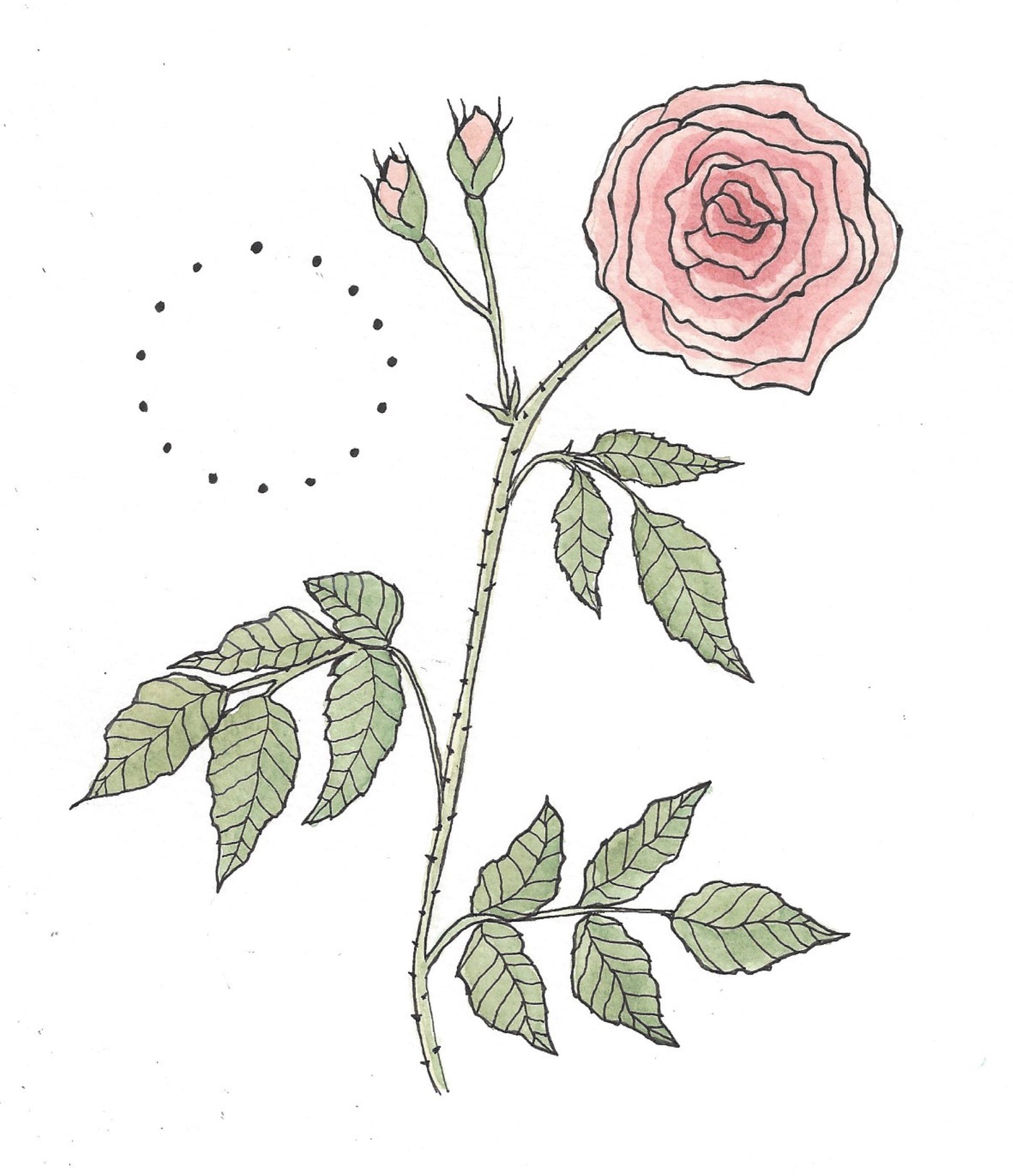 Botanical Breathwork with Rose, June 1st