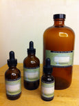Ginger Root - Dancing Willow Herbs Single Herb Extract - herbal formulas 
